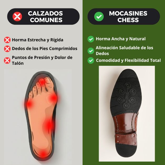 ZAPATO CAVALLIERI
