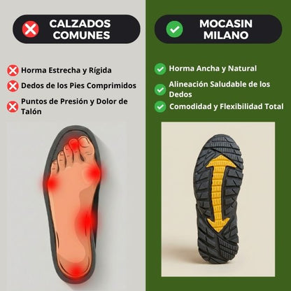 Zapatillas Camel Pro